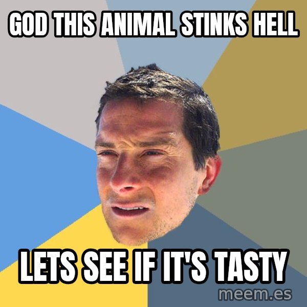 Bear Grylls meme: GOD ThIS Animal stinks hell / lets see if it's tasty