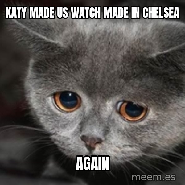 Sadcat meme: Katy made us watch made in chelsea / again