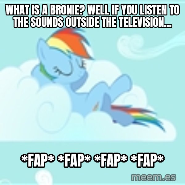 My Little Pony meme: WHAT IS A BRONIE? WELL IF YOU LISTEN TO THE SOUNDS OUTSIDE THE TELEVISION... / *FAP* *FAP* *FAP* *FAP*