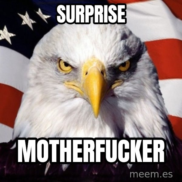 American Pride Eagle meme: Surprise / motherfucker
