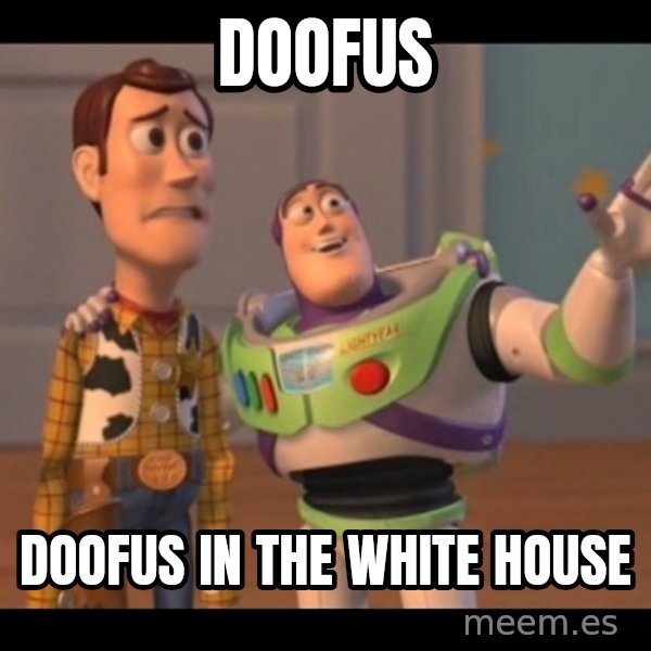 X, X Everywhere  meme: doofus / doofus in the white house