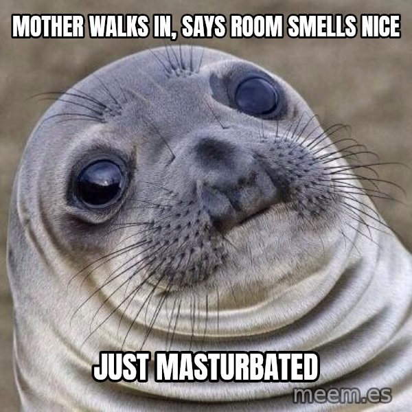 Awkward Seal meme: MOTHER WALKS IN, SAYS ROOM SMELLS NICE / JUST MASTURBATED