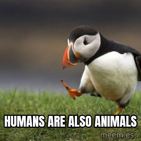 Unpopular Opinion Puffin meme: humans are also animals