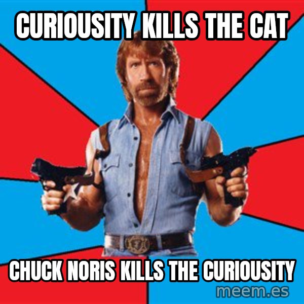 Chuck Norris  meme: Curiousity kills the cat / Chuck Noris kills the curiousity
