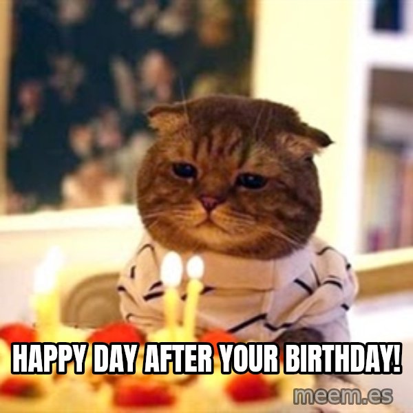 Birthday Cat meme: Happy Day after your Birthday!