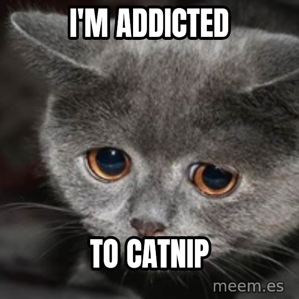 Sadcat meme: i'm addicted / to catnip