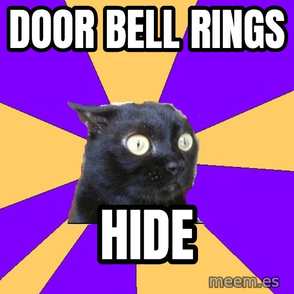 Anxiety Cat meme: Door Bell rings / Hide