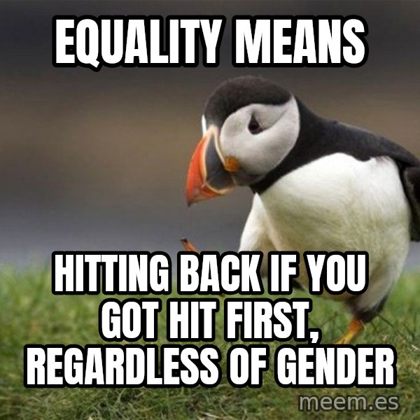 Unpopular Opinion Puffin meme: equality means / hitting back if you got hit first, regardless of gender