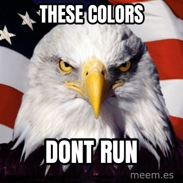 American Pride Eagle meme: THESE COLORS / DONT RUN