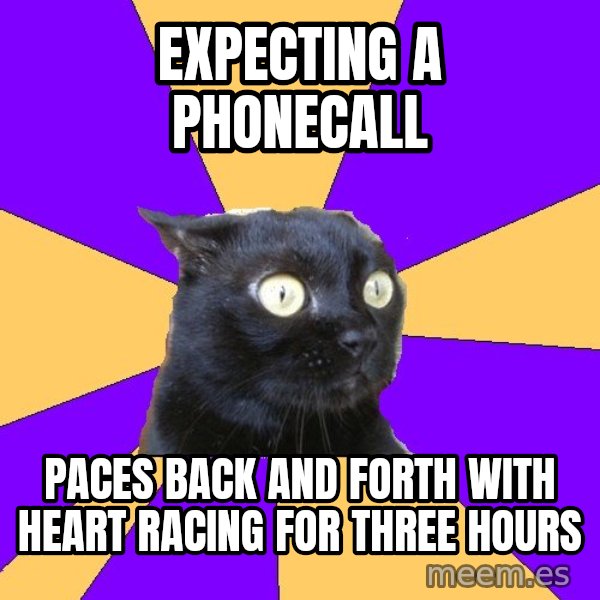 Anxiety Cat meme: expecting a phonecall / paces back and forth with heart racing for three hours