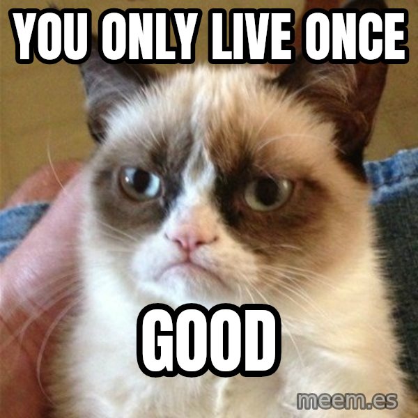 Grumpy Cat  meme: You only live once / Good