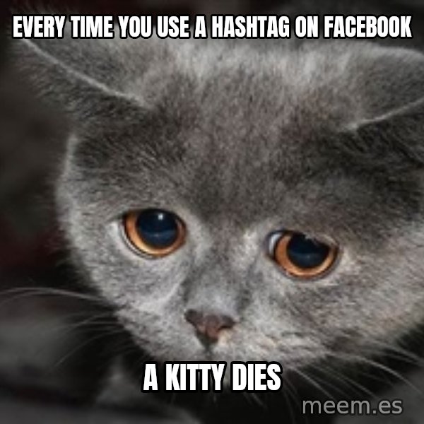 Sadcat meme: every time you use a hashtag on facebook / a kitty dies