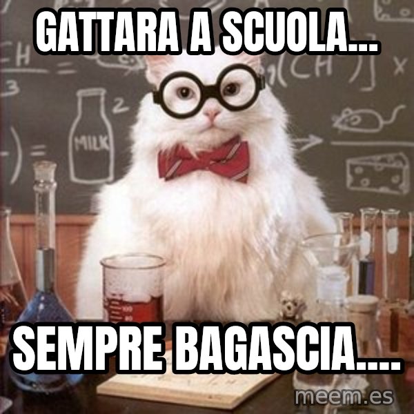 Chemistry Cat meme: gattara a scuola... / sempre bagascia....