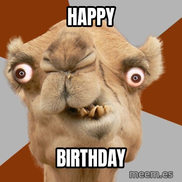 Crazy Camel lol meme: Happy / birthday