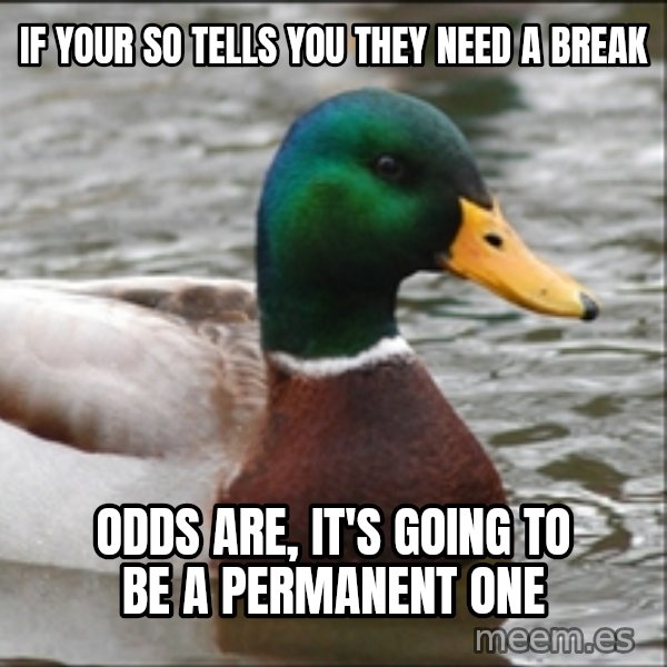 Actual Advice Mallard 1 meme: if your so tells you they need a break / odds are, it's going to be a permanent one