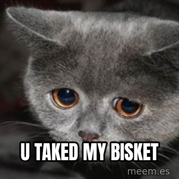 Sadcat meme: u taked my bisket