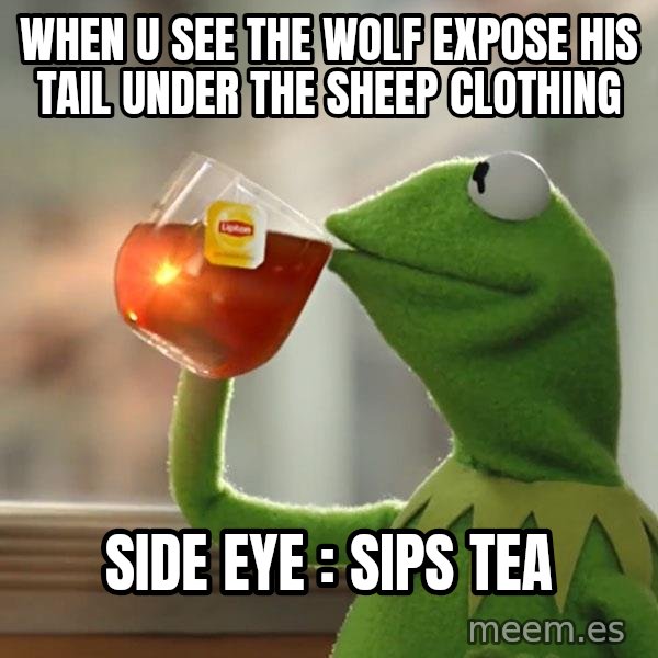 Kermit The Frog Drinking Tea meme: when u see the wolf expose his tail under the sheep clothing / side eye : sips tea