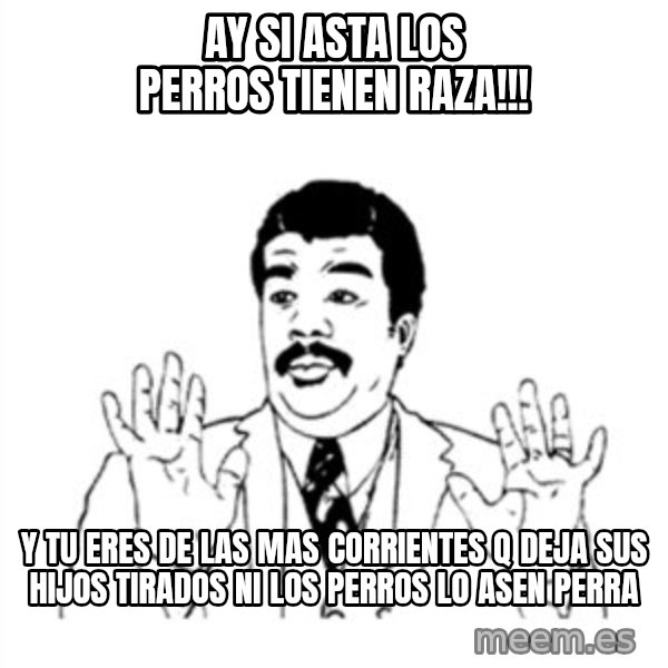 aysi meme: AY SI ASTA LOS PERROS TIENEN RAZA!!! / Y TU ERES DE LAS MAS CORRIENTES Q DEJA SUS HIJOS TIRADOS NI LOS PERROS LO ASEN PERRA