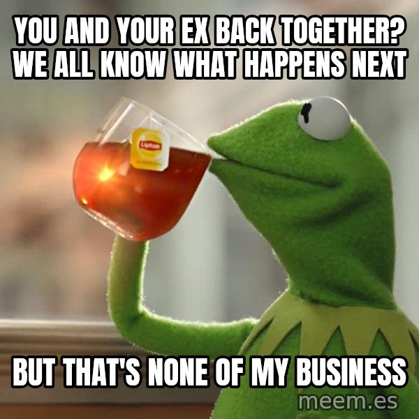 Kermit The Frog Drinking Tea meme: you and your ex back together? we all know what happens next / but that's none of my business