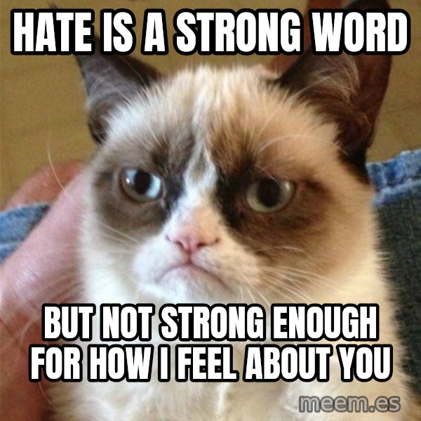 Grumpy Cat  meme: hate is a strong word / but not strong enough for how i feel about you