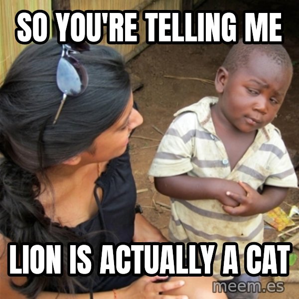 So You're Telling me meme: so you're telling me / lion is actually a cat