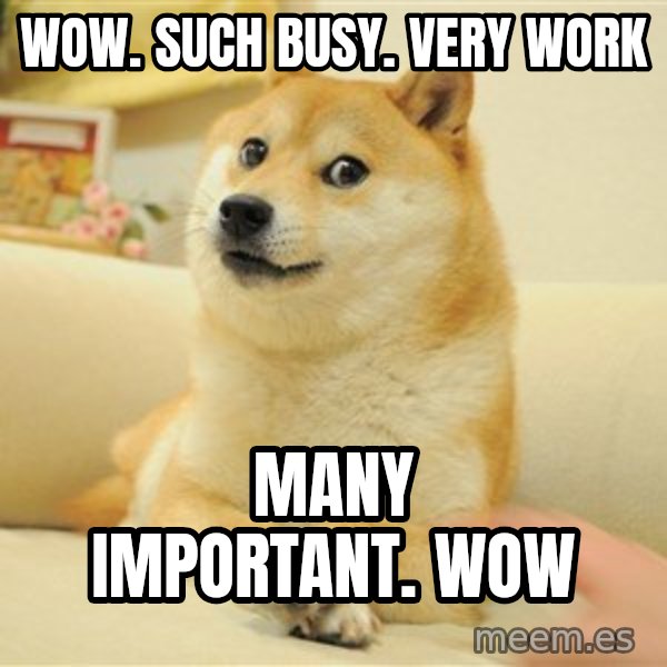 so doge meme: WOW. such busy. very work / many important. wow