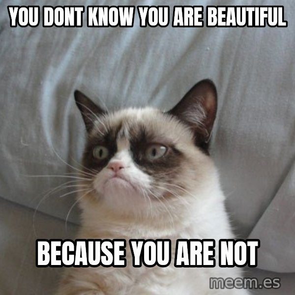 Grumpy cat good meme: you dont know you are beautiful / because you are not