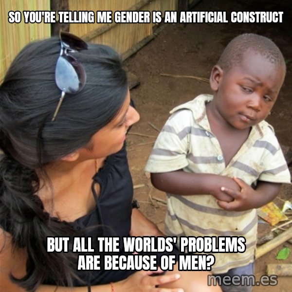 So You're Telling me meme: so you're telling me gender is an artificial construct / but all the worlds' problems are because of men?