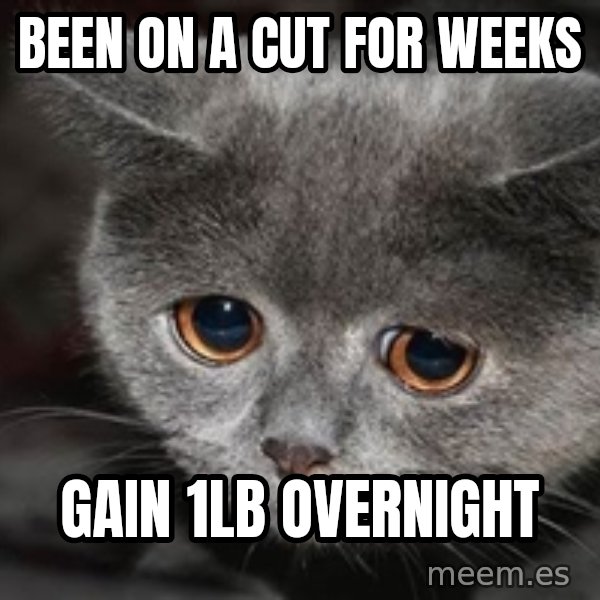 Sadcat meme: Been on a cut for weeks / Gain 1lb overnight