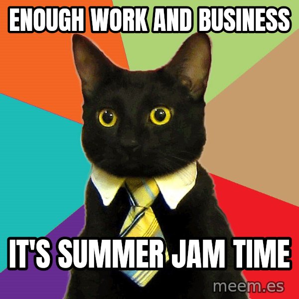 Business Cat meme: Enough work and business / It's summer jam time