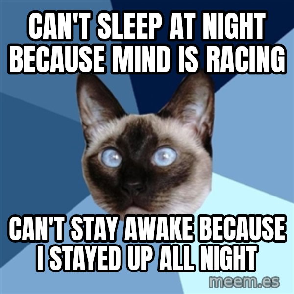 Chronic Illness Cat meme: Can't sleep at night because mind is racing / Can't stay awake because I stayed up all night