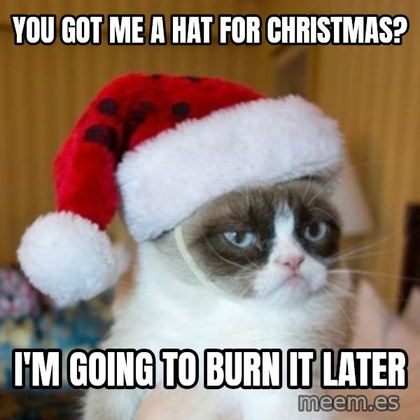 Grumpy Cat Santa Hat meme: You got me a hat for Christmas? / I'm going to burn it later
