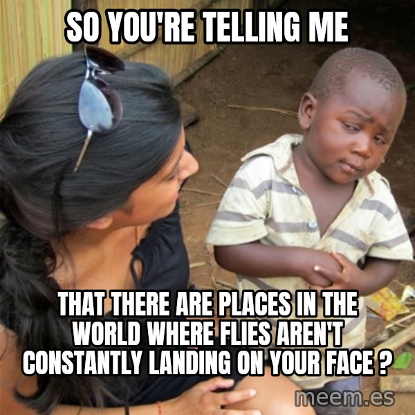 So You're Telling me meme: so you're telling me / that there are places in the world where flies aren't constantly landing on your face ?
