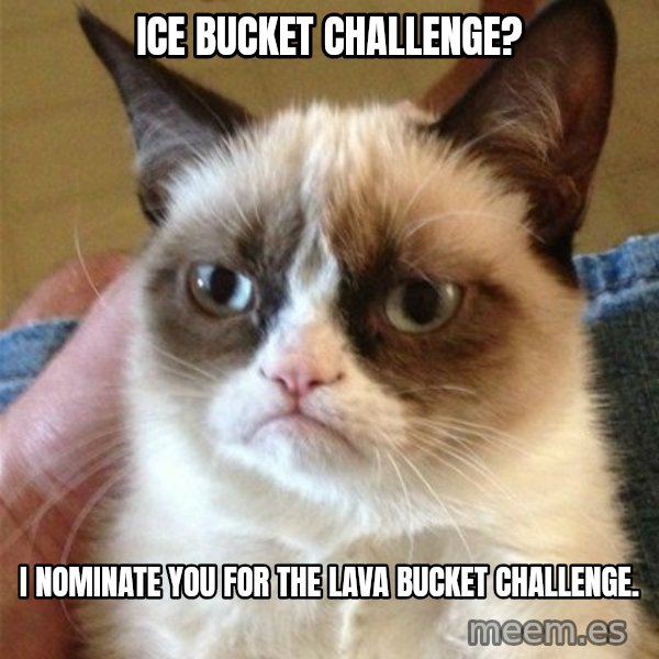 Grumpy Cat  meme: Ice bucket challenge? / I  nominate you for the lava bucket challenge.