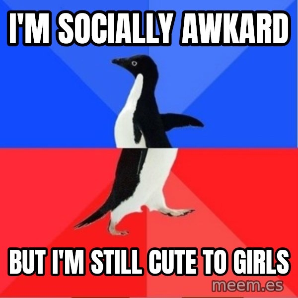 Socially Awkward to Awesome Penguin meme: I'm socially awkard / But I'm still cute to girls