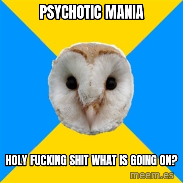 Bipolar Owl meme: PSYCHOTIC MANIA / HOLY FUCKING SHIT WHAT IS GOING ON?