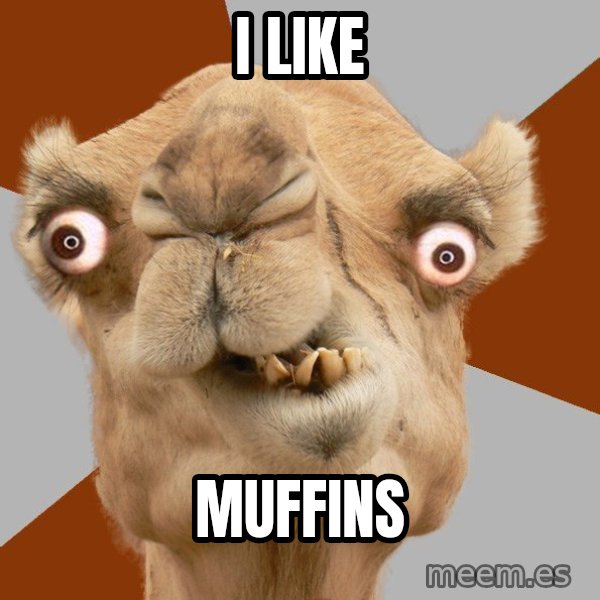 Crazy Camel lol meme: I LIKE / MUFFINS