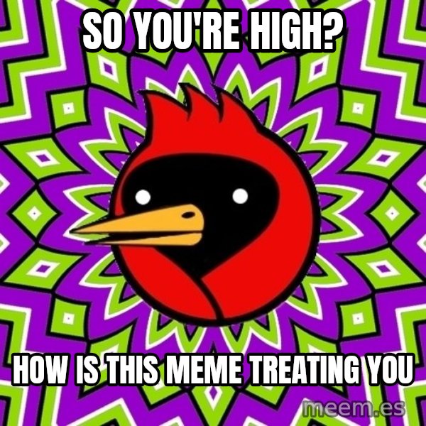 Omsk Crow meme: so you're high? / how is this meme treating you