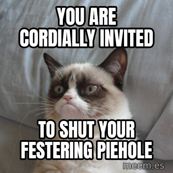 Grumpy cat good meme: YOU ARE CORDIALLY INVITED / TO SHUT YOUR FESTERING PIEHOLE