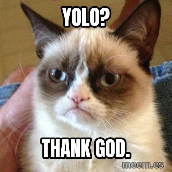 Grumpy Cat  meme: yolo? / thank god.