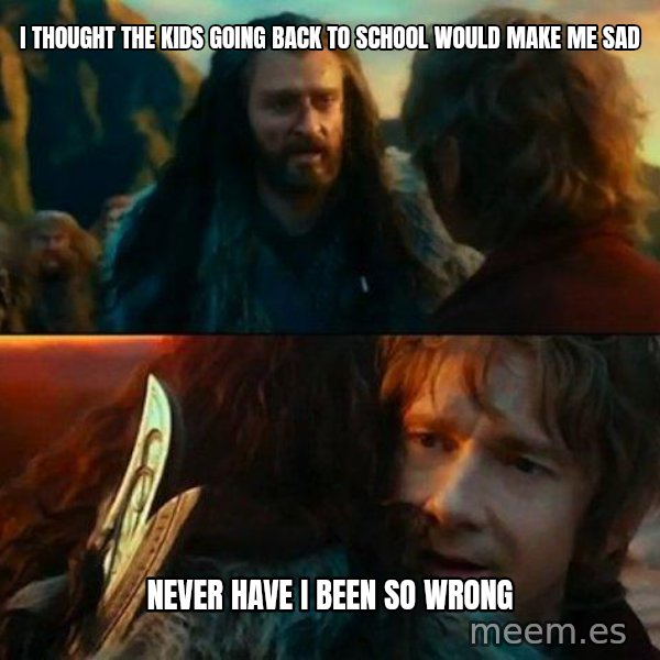 Never Have I Been So Wrong meme: i thought the kids going back to school would make me sad / never have i been so wrong