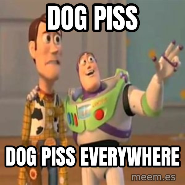 X, X Everywhere  meme: dog piss / dog piss everywhere