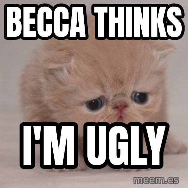 Sadcat meme: Becca thinks / I'm ugly