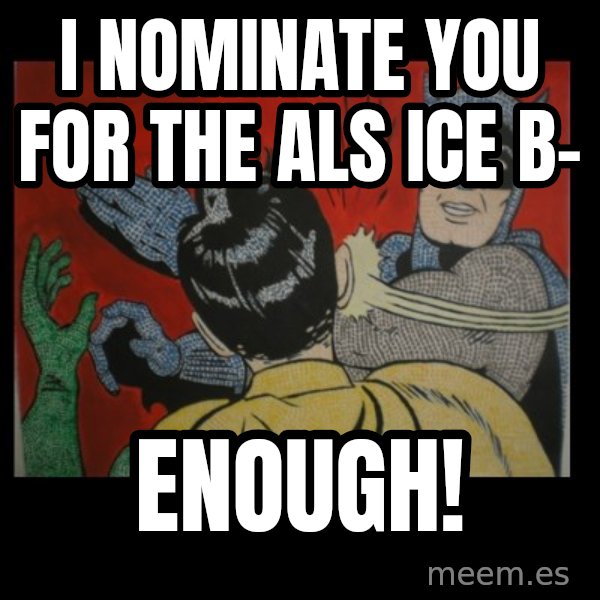 batman slap robin meme: I nominate you for the als ice b- / Enough!