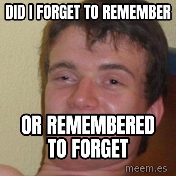 Really Stoned Guy meme: did i forget to remember / or remembered to forget