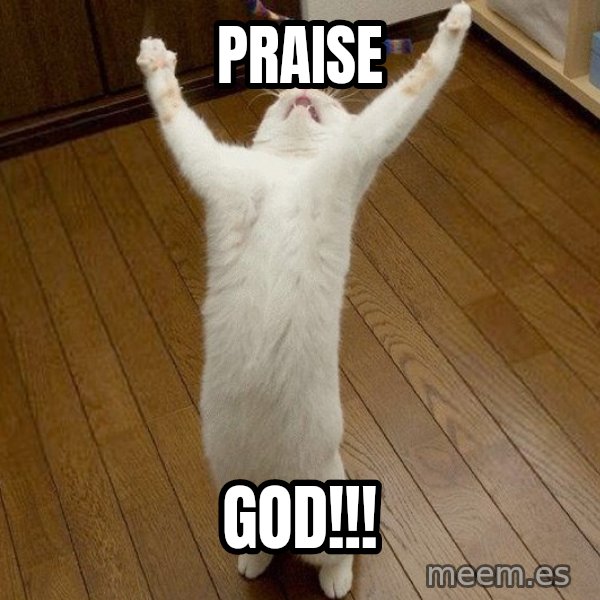 praise the lord cat meme: PRAISE / GOD!!!