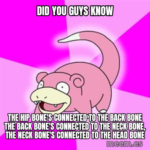 Slowpoke meme: did you guys know / The hip bone's connected to the back bone The back bone's connected to the neck bone, The neck bone's connected to the head bone