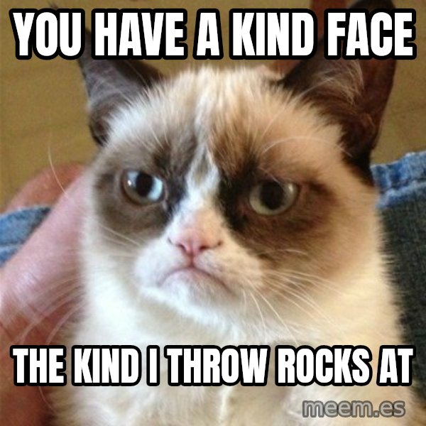 Grumpy Cat  meme: you have a kind face / the kind i throw rocks at