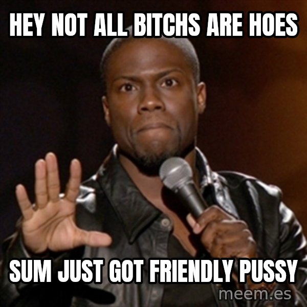 Kevin Hart meme: hey not all bitchs are hoes / sum just got friendly pussy