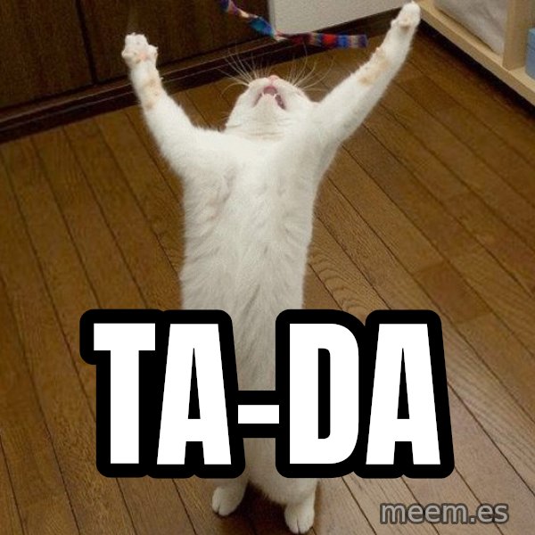 praise the lord cat meme: ta-da